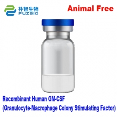 Recombinant Human GM-CSF (Recombinant Human Granulocyte-Macrophage Colony Stimulating Factor (rHuGM-CSF)