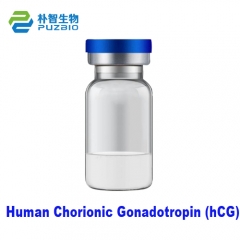 Human Chorionic Gonadotropin (hCG) Antigen