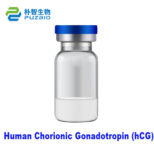 Human Chorionic Gonadotropin (hCG) Antigen