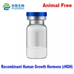 Recombinant Human Growth Hormone (rHGH)