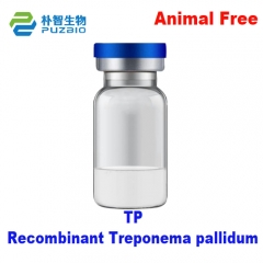 Recombinant TP Human Treponema Pallidum Antigen