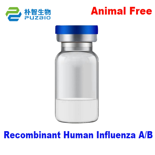 Recombinant Human Influenza A/B Antigen