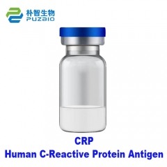Human C-Reactive Protein (CRP) Antigen
