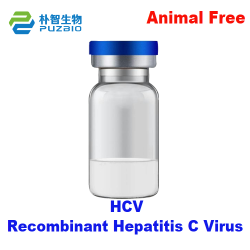 Recombinant HCV	Hepatitis C Virus Antigen