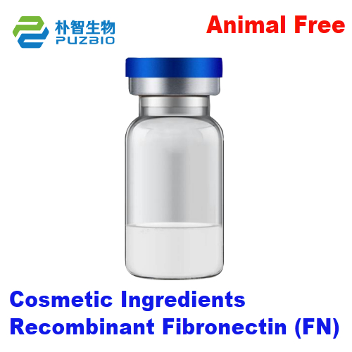 Recombinant Fibronectin (rh-FN) Cosmetic Ingredients