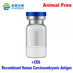 Recombinant Human Carcinoembryonic Antigen CEA