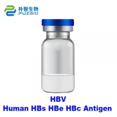 Human HBs HBe HBc Antigen