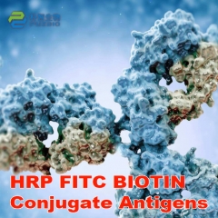 HRP FITC BIOTIN Conjugate Antigens