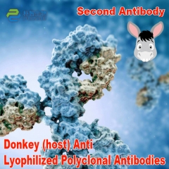 Donkey (Host) Anti Lyophilized Secondary Antibody ...