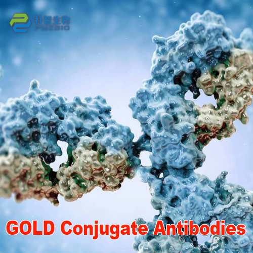 GOLD Conjugate Antibodies