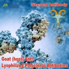 Goat(Host) Anti Lyophilized Secondary Antibody Pol...