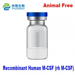 Recombinant Human M-CSF (rh M-CSF)
