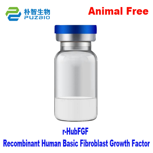 Recombinant Human Basic Fibroblast Growth Factor(rHubFGF)