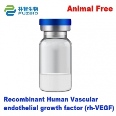 Recombinant Human Vascular endothelial growth fact...