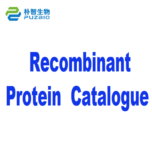 Recombinant Protein Catalogue