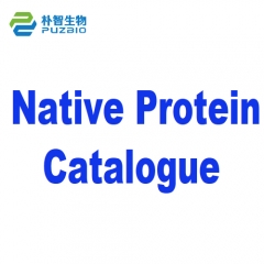 Native Protein Catalogue