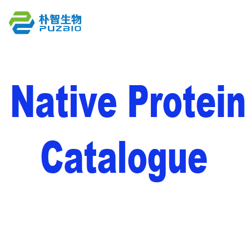 Native Protein Catalogue