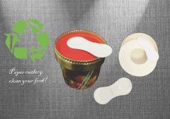 Paper Ice Cream Stick - Small