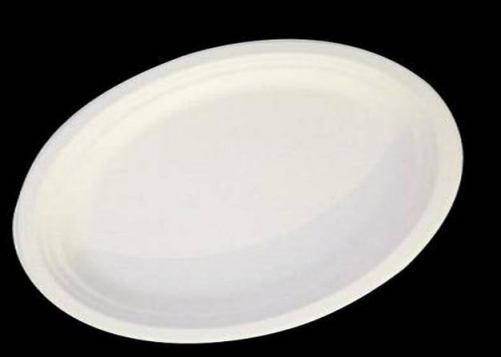 PLA Biodegradable Plates 6.7"