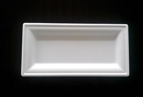 PLA Biodegradable Plates 13x25cm