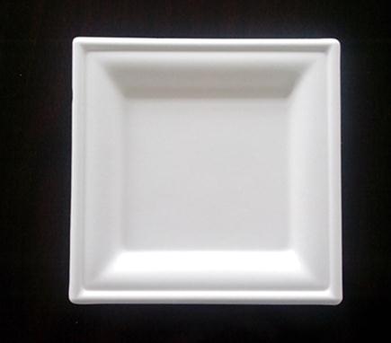 PLA Biodegradable Plates 6.3"