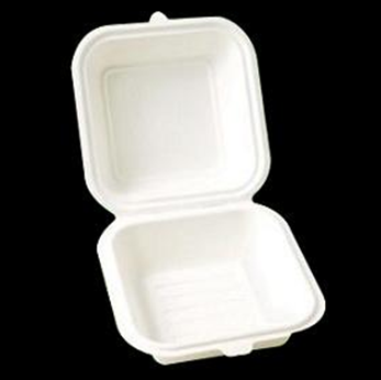 PLA Biodegradable boxes 8"
