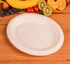 Disposable Plastic Plates 20cm