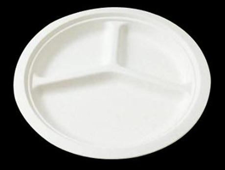 PLA Biodegradable Plates 10"
