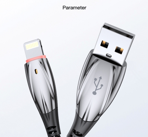 1M Lightning to USB-A Cable Flame lamp AL03 PISEN(Black)