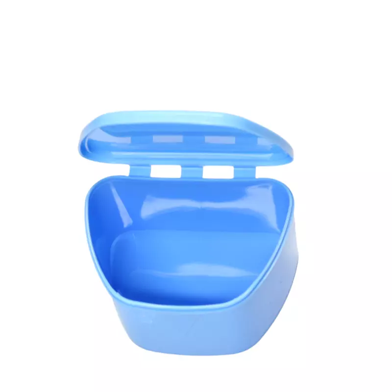 Plastic Denture Box with Solid Locking Mechanism