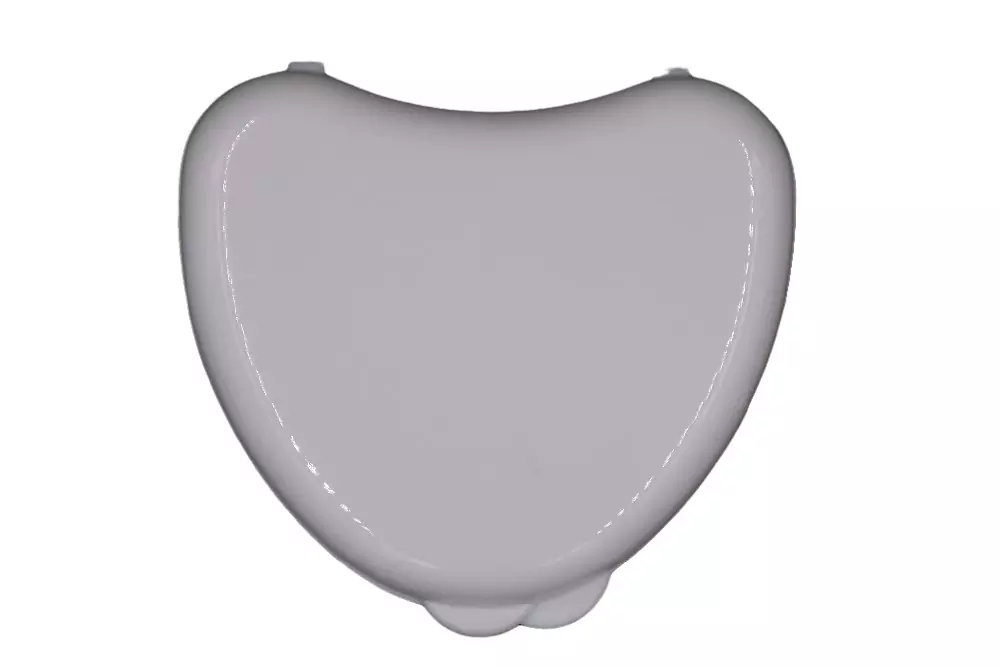 Heart-shaped Dental Orthodontic Retainer Box