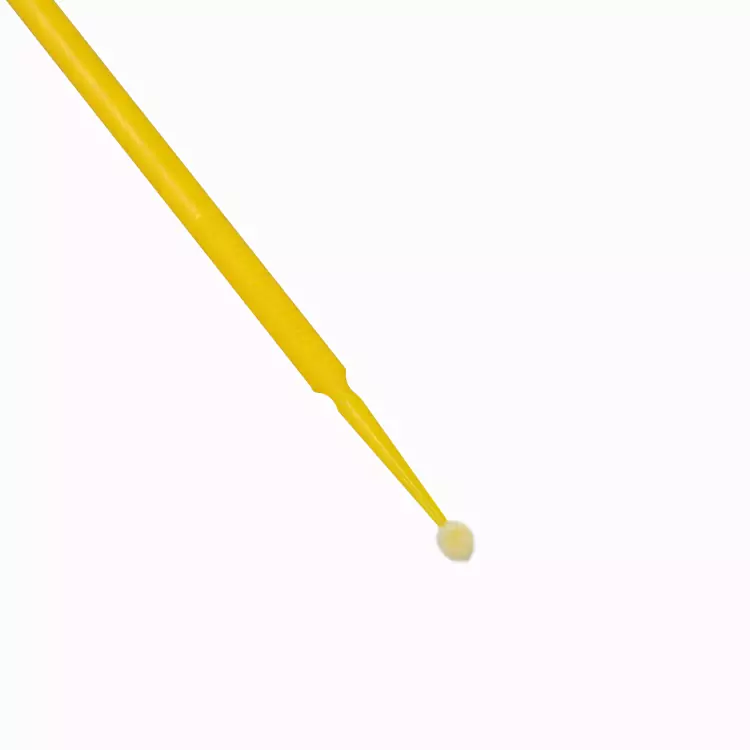 Dental Micro Applicator Brush for Oral Care