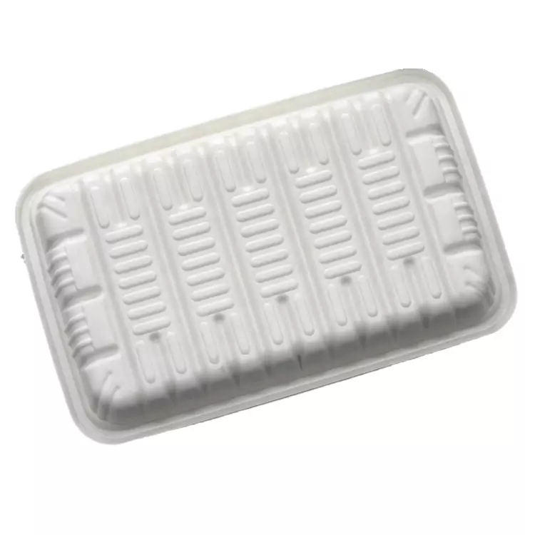 Dental Plastic Tray with Curved Surfaces