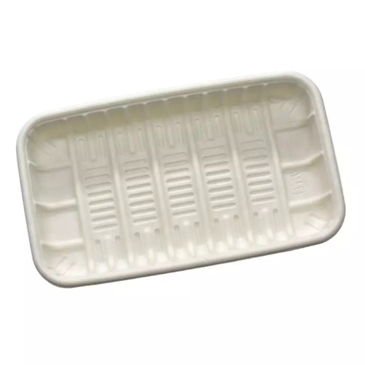 Dental Plastic Tray with Curved Surfaces