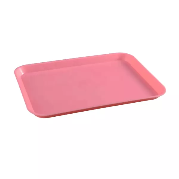 Autoclavable Flat Plastic Dental Instrument Tray
