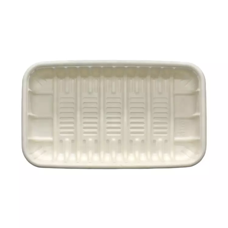 Dental Plastic Tray with Curved Surfaces