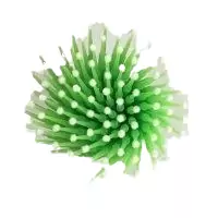 Disposable Dental Micro Applicator Brush