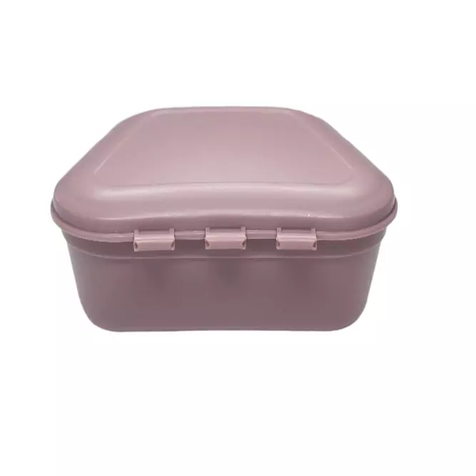 Denture Storage Boxes