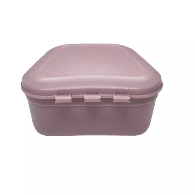 Denture Storage Box Made of High Performance Resin Material