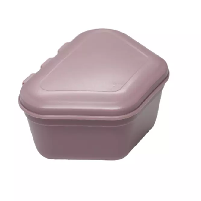 Denture Storage Box Made of High Performance Resin Material