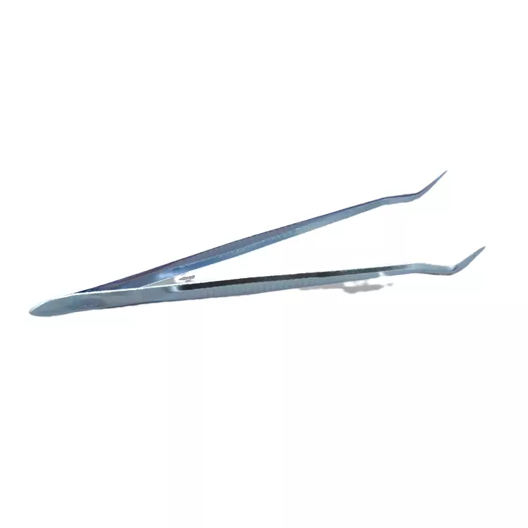 Disposable Dental Exam Kits