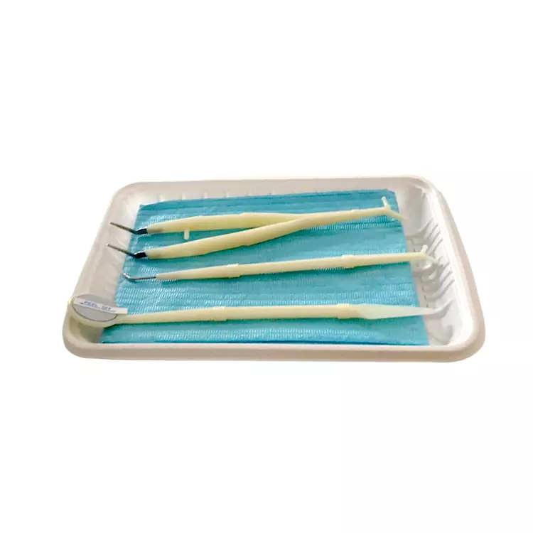 Disposable Dental Kit