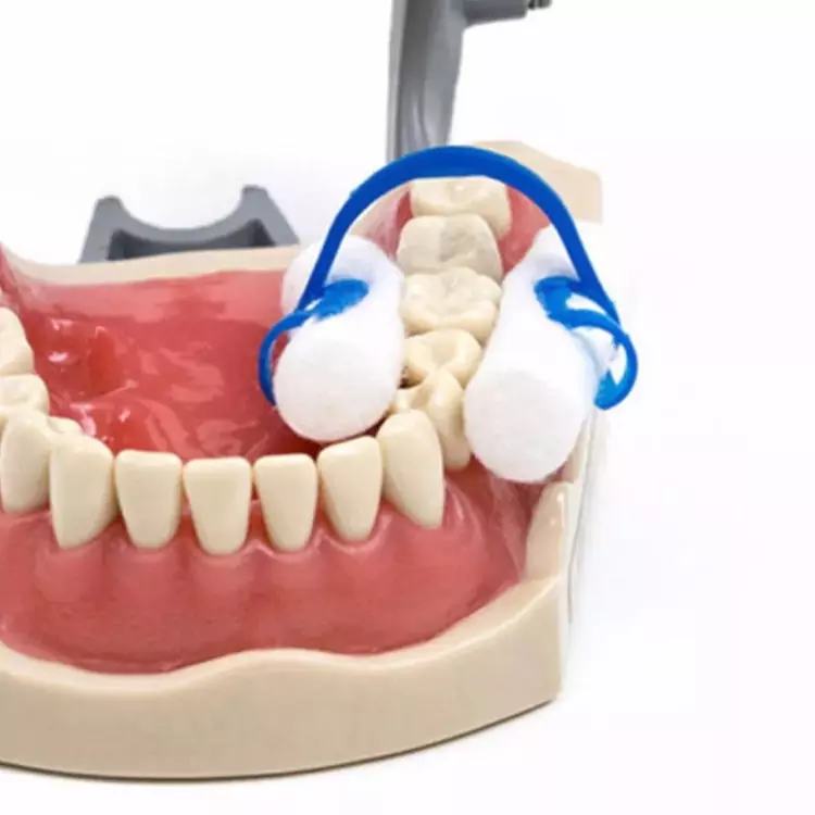 Disposable Cotton Roll Holder Dental