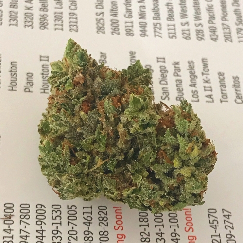 *200 OZ Special* King Louie 5g@45 10g@85