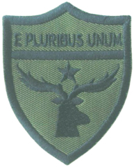 Intelligence Battalion Patch of Armed Force Estonia