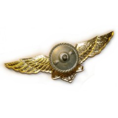 Ukraine Air Force, Airborne Troops Cap Metal Badge #1