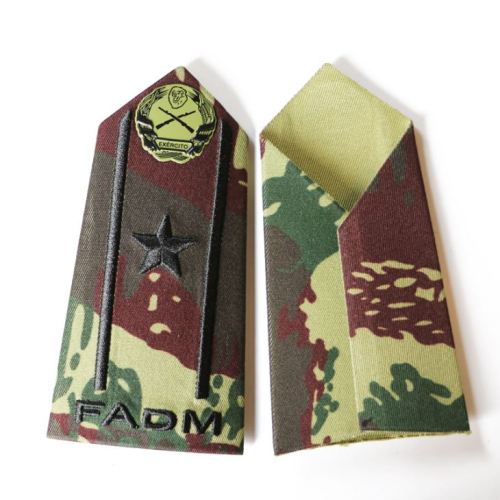 Army Rank Slides