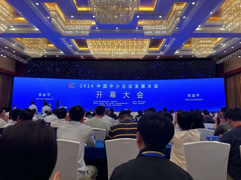 DAVO Participates in the 2024 China SME Development Conference