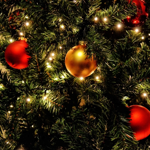 SALCAR 3m Christbaumbeleuchtung mit Ring, für LED 10 tannenbaum, Wasserdicht 350er 350cm - Warmweiß grüngürtel, Lichterkette busche baum, Girlanden Weihnachtsbaum-Überwurf- mit 120cm - Lichterkette