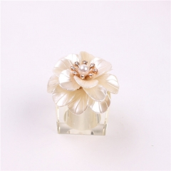 Acrylic Transparent and White Flower Napkin Rings